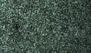 2 GRANIT HASSAN GREEN